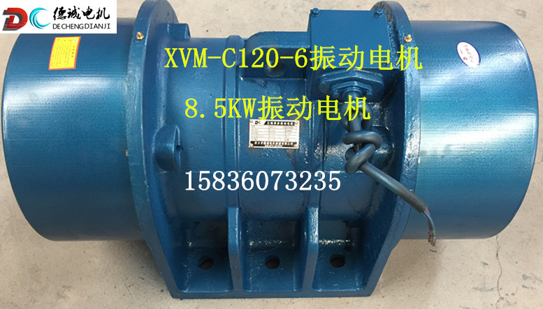 XVM-C 120-6振動電機_副本.jpg